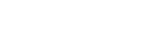 Skyro Official Logo